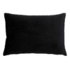 Black Ivy Quilted Velvet Throw Pillow, 14x20