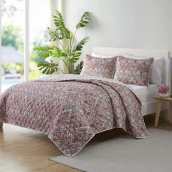 Viola 3-Piece Multicolor Quilt Set, Full/Queen